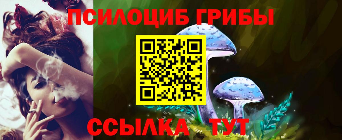 Псилоцибиновые грибы Cubensis Канаш
