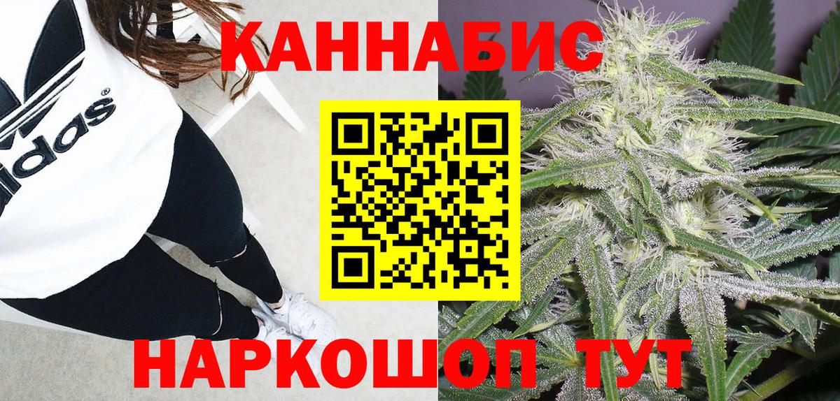 Бошки Шишки тримм  Вход с VPN  Канаш  Марихуана Amnesia  Марихуана тримм 